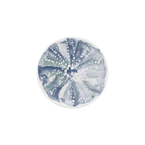 Schönwald, Maritime : 063188 Ocean Breeze - Teller flach rund coup 17 cm