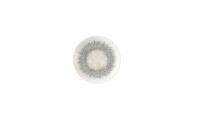 Churchill, Fusion : Agate Grey - Teller flach Coup, 16,5 cm Churchill, Fusion : Agate Grey - Teller flach Coup, 16,5 cm