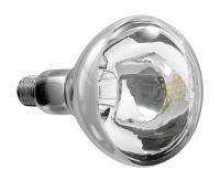 Infrarotlampe IWL250D-W Infrarotlampe IWL250D-W