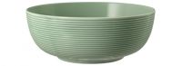 Seltmann Weiden, Beat : Salbeigrün - Foodbowl mit Relief, 20 cm Seltmann Weiden, Beat : Salbeigrün - Foodbowl mit Relief, 20 cm