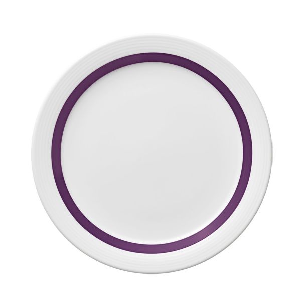 Bauscher Care, Invita Colors : 425489 Pinselband Aubergine - Spezialteller halbtief Fahne, 25 cm/ 0,45 ltr.
