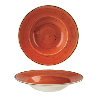 Churchill, Stonecast : Spiced Orange - Teller tief Fahne, 23,9 cm/ 0,28 ltr. Churchill, Stonecast : Spiced Orange - Teller tief Fahne, 23,9 cm/ 0,28 ltr.