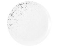 Seltmann Weiden, Liberty : Brace - Speiseteller rund 27,5 cm Seltmann Weiden, Liberty : Brace - Speiseteller rund 27,5 cm