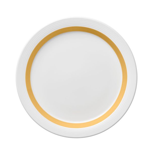 Bauscher Care, Invita Colors : 425345 Pinselband Sonnengelb - Spezialteller halbtief Fahne, 25 cm/ 0,45 ltr.