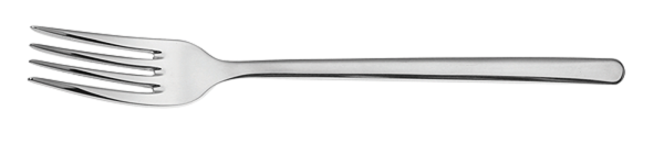 Picard & Wielpütz, Ventura - Vorspeisegabel 181 mm