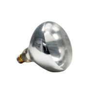 Ersatzbirne/ Infrarotlampe 250 Watt, für Artikel 12265, D: 12,5 cm, H: 17 cm, Lichtfarbe: warmweiss Ersatzbirne/ Infrarotlampe 250 Watt, für Artikel 12265, D: 12,5 cm, H: 17 cm, Lichtfarbe: warmweiss