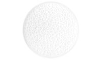 Seltmann Weiden, Nori : Weiss - Brotteller flach, Vollrelief, 16,5 cm Seltmann Weiden, Nori : Weiss - Brotteller flach, Vollrelief, 16,5 cm