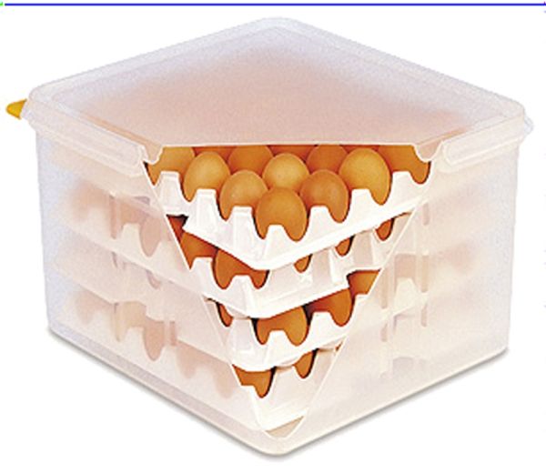 Eierbox GN 2/3, 35,5 x 32,5 x 20 cm, PE