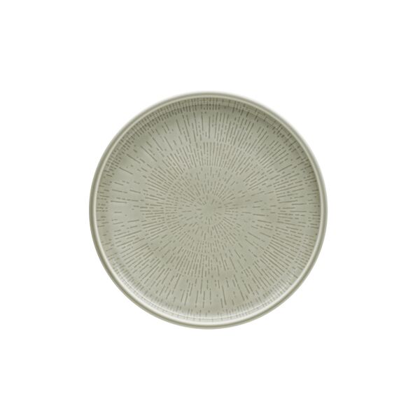 Schönwald, Shiro Glaze : Steam - Teller flach coup, 21 cm