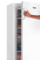 Tiefkühlschrank TK1-111 Tiefkühlschrank TK1-111