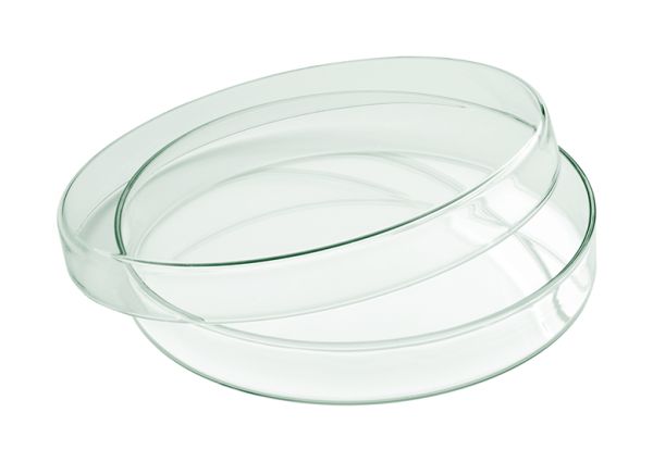 Playground, Glas - Glasschale mit Deckel flach 18 cm